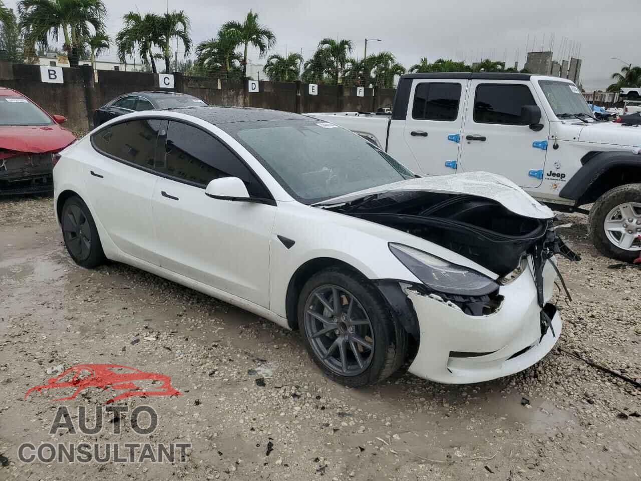 TESLA MODEL 3 2021 - 5YJ3E1EA3MF907922