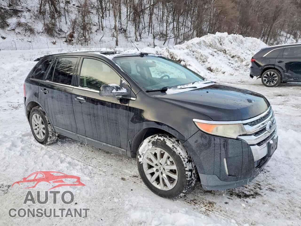 FORD EDGE 2011 - 2FMDK4KC2BBB63837