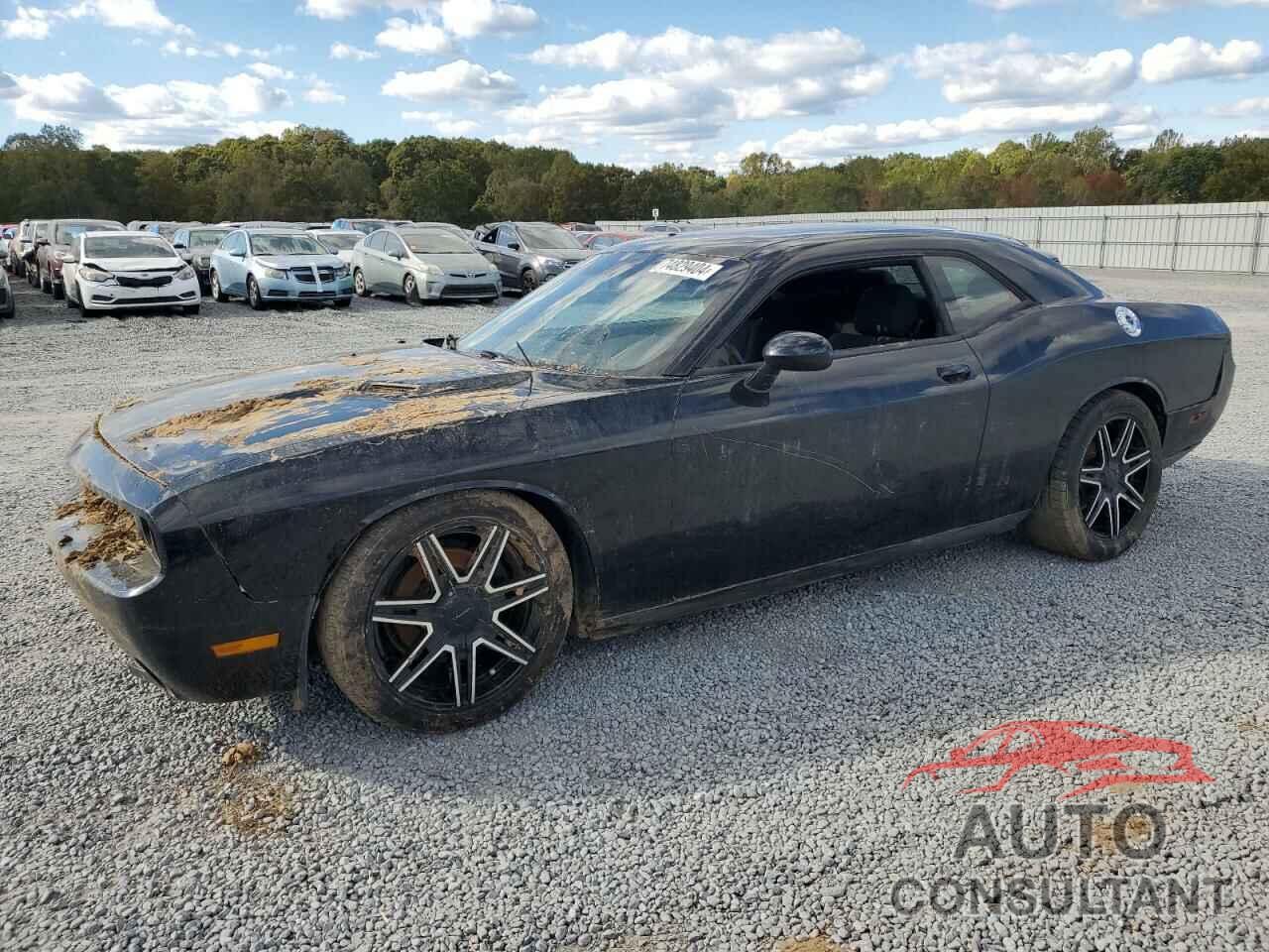 DODGE CHALLENGER 2013 - 2C3CDYAG3DH511607