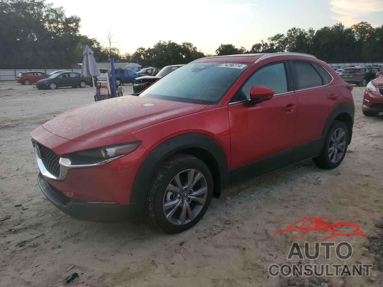 MAZDA CX30 2024 - 3MVDMBCM9RM665570