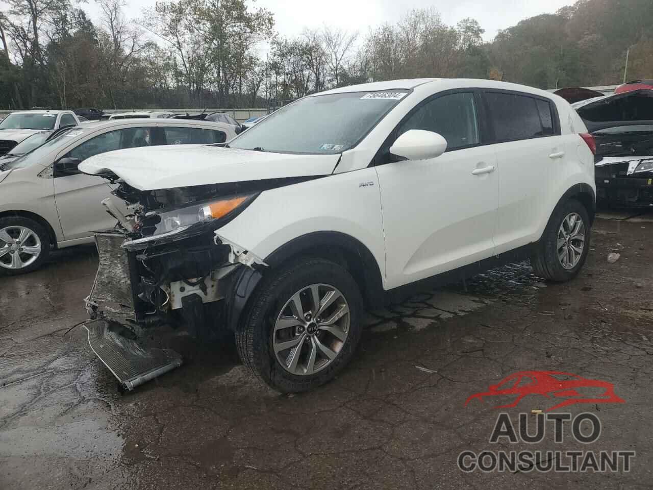 KIA SPORTAGE 2016 - KNDPBCAC9G7826849