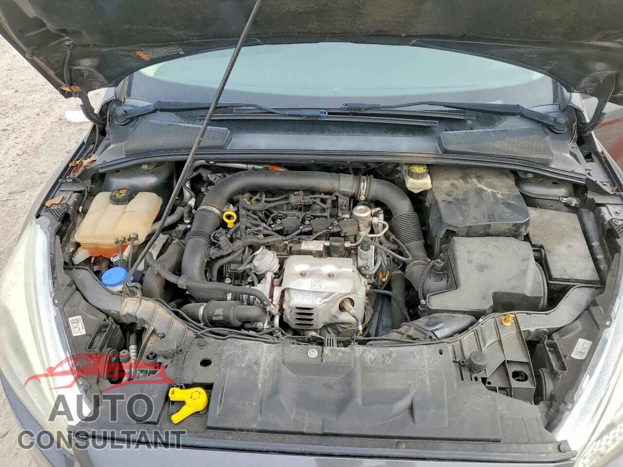 FORD FOCUS 2017 - 1FADP3FEXHL219792