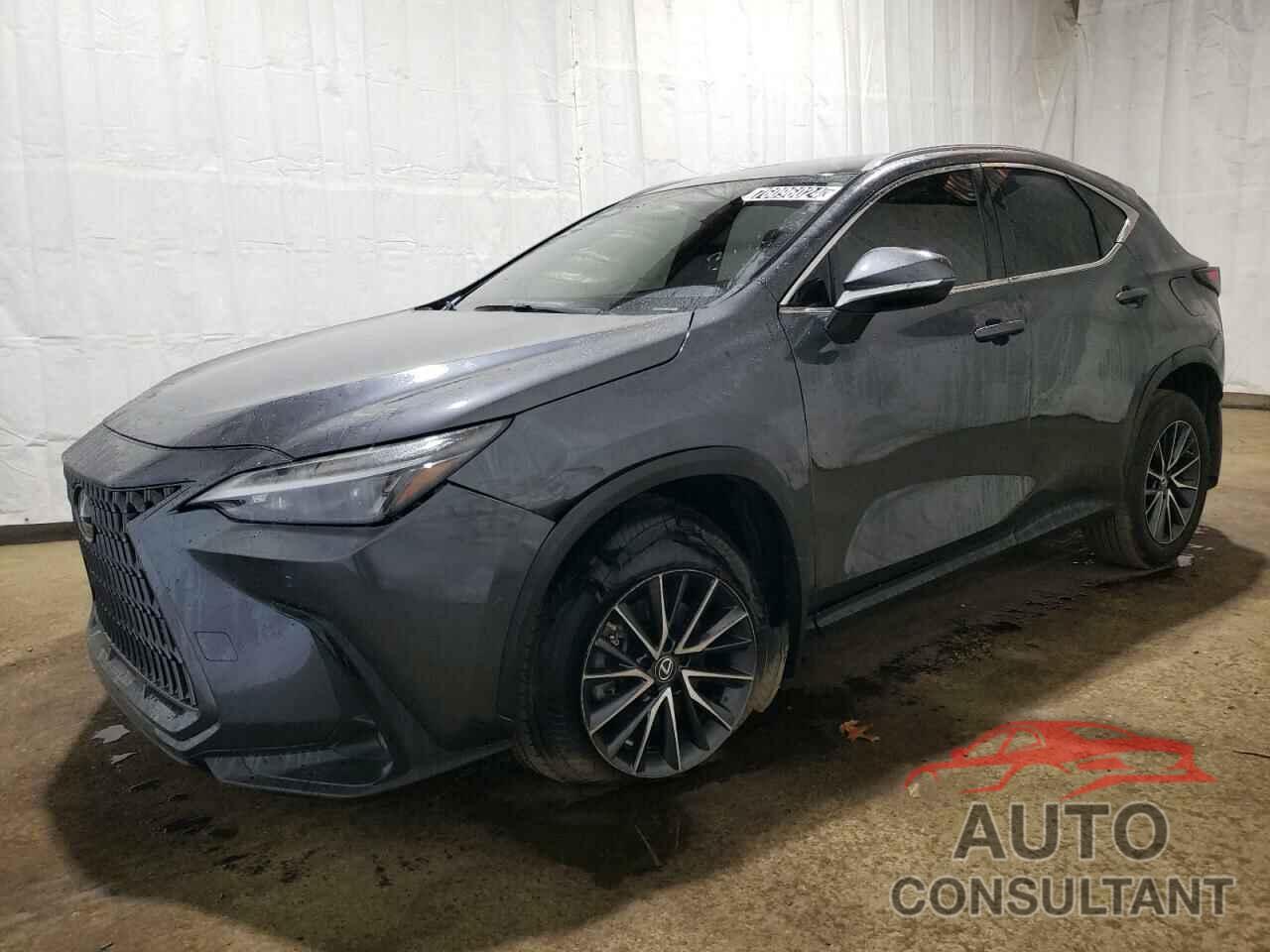 LEXUS NX 250 2023 - 2T2GDCAZXPC003713