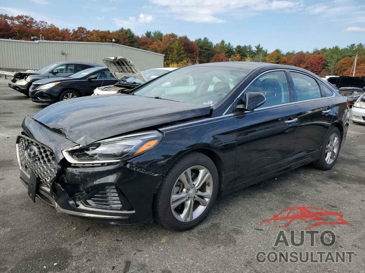 HYUNDAI SONATA 2018 - 5NPE34AF6JH726988