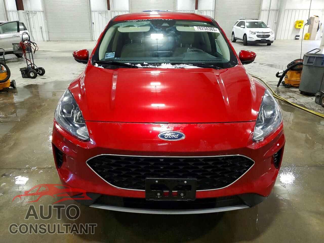 FORD ESCAPE 2020 - 1FMCU9G60LUA78125