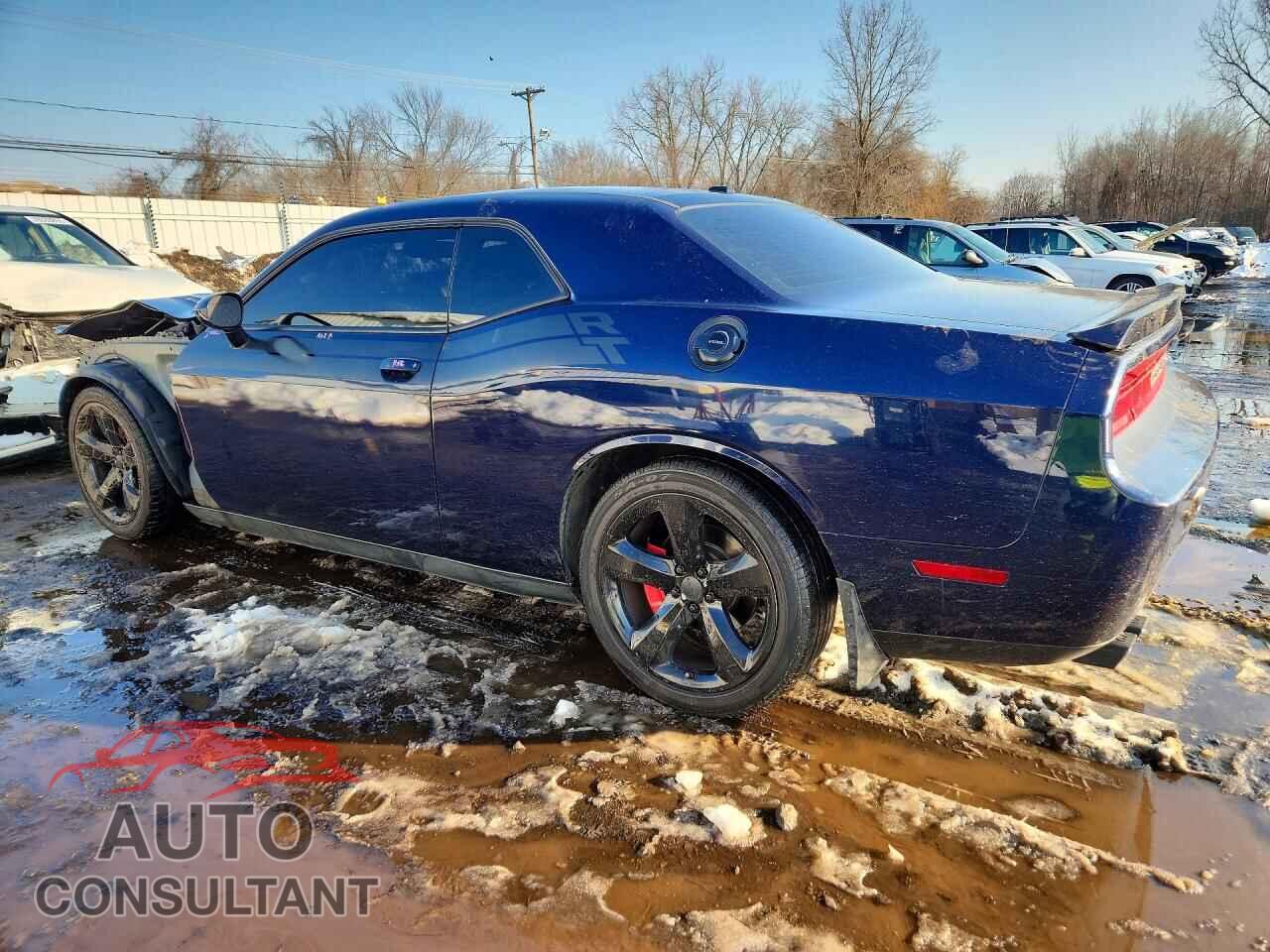 DODGE CHALLENGER 2013 - 2C3CDYBT6DH687031