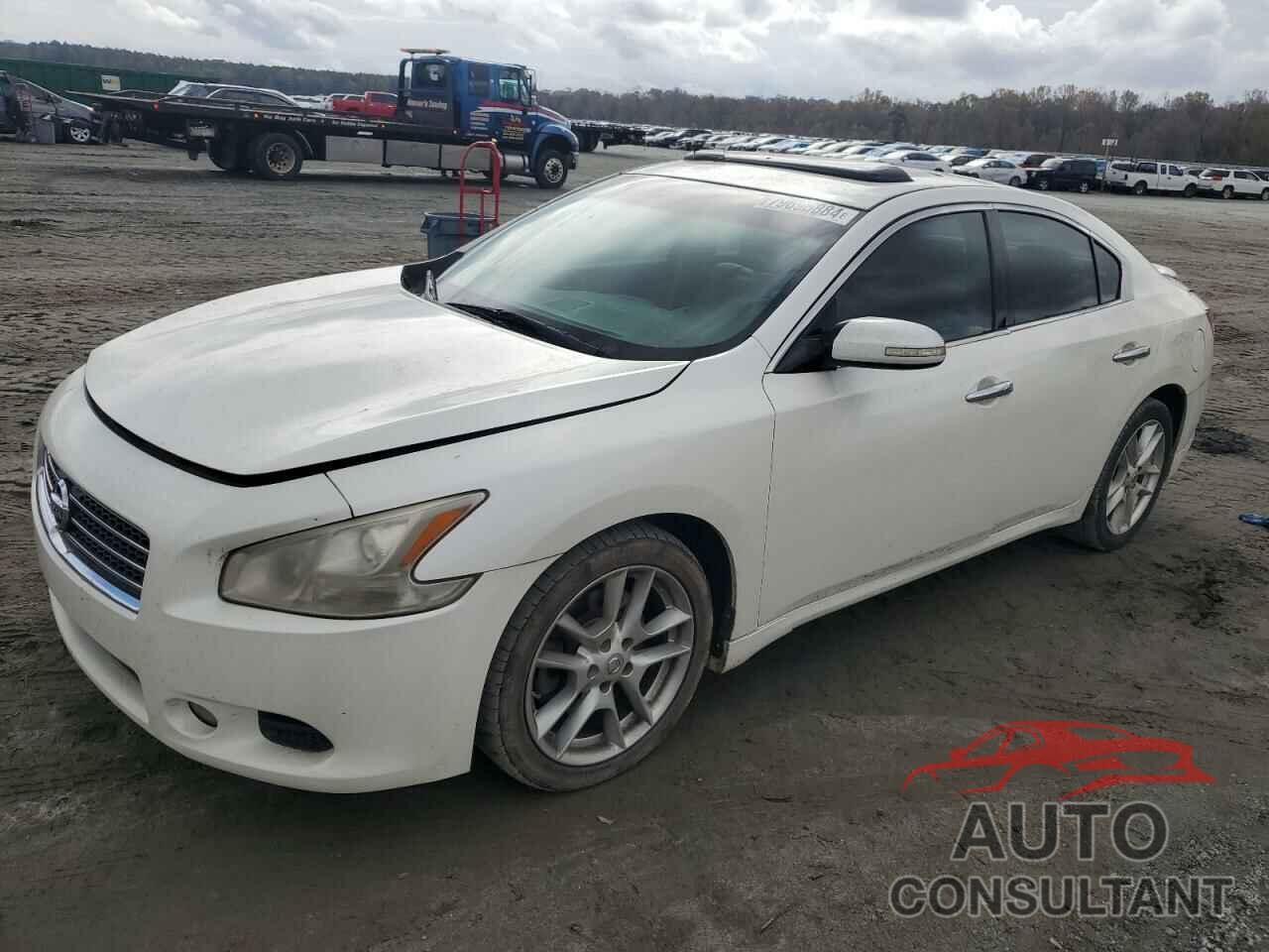 NISSAN MAXIMA 2009 - 1N4AA51E29C852974