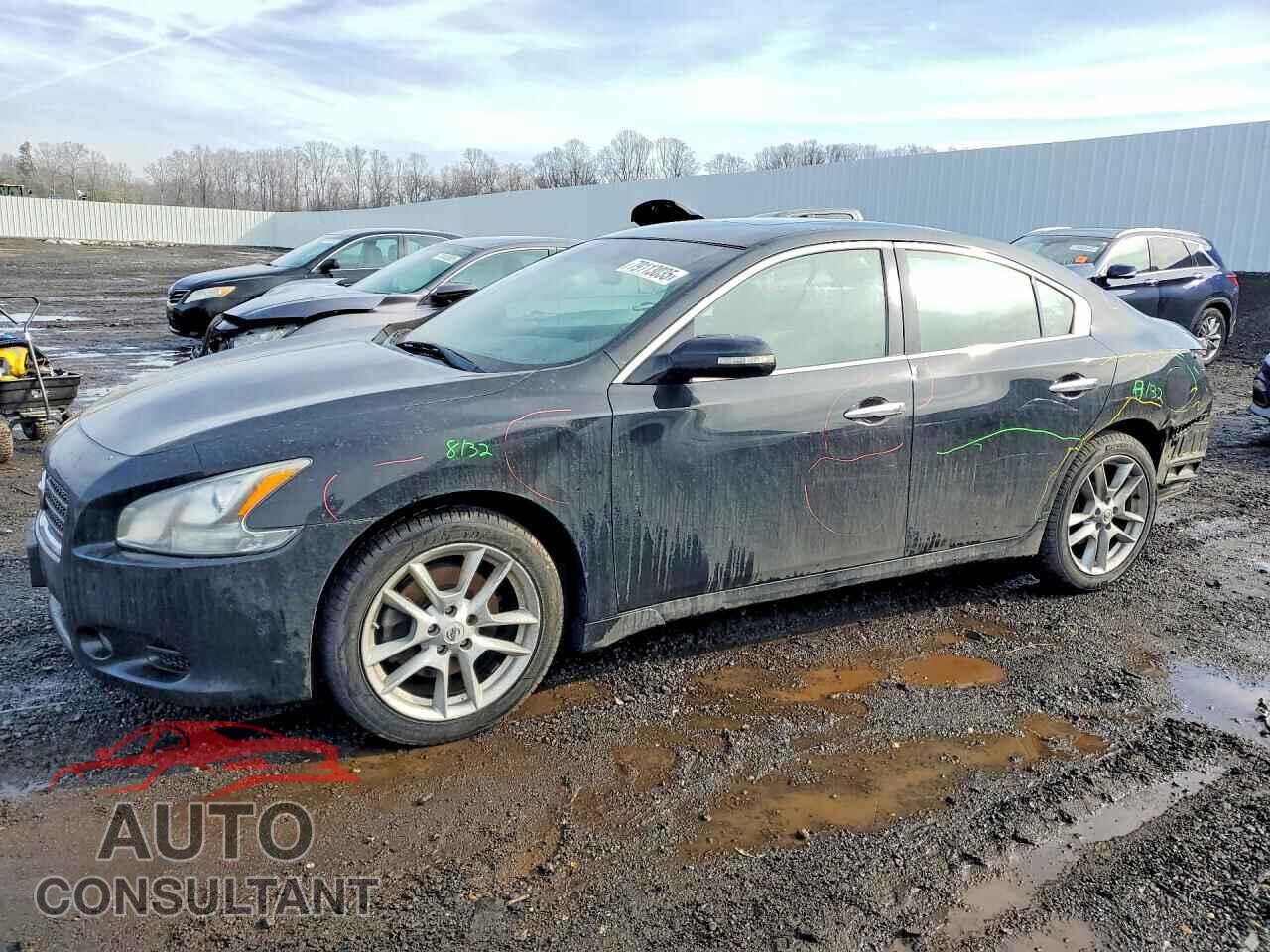NISSAN MAXIMA 2011 - 1N4AA5AP1BC807712