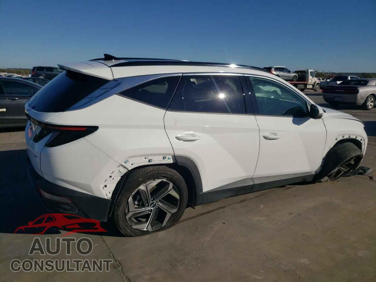 HYUNDAI TUCSON 2024 - 5NMJECDE5RH310767
