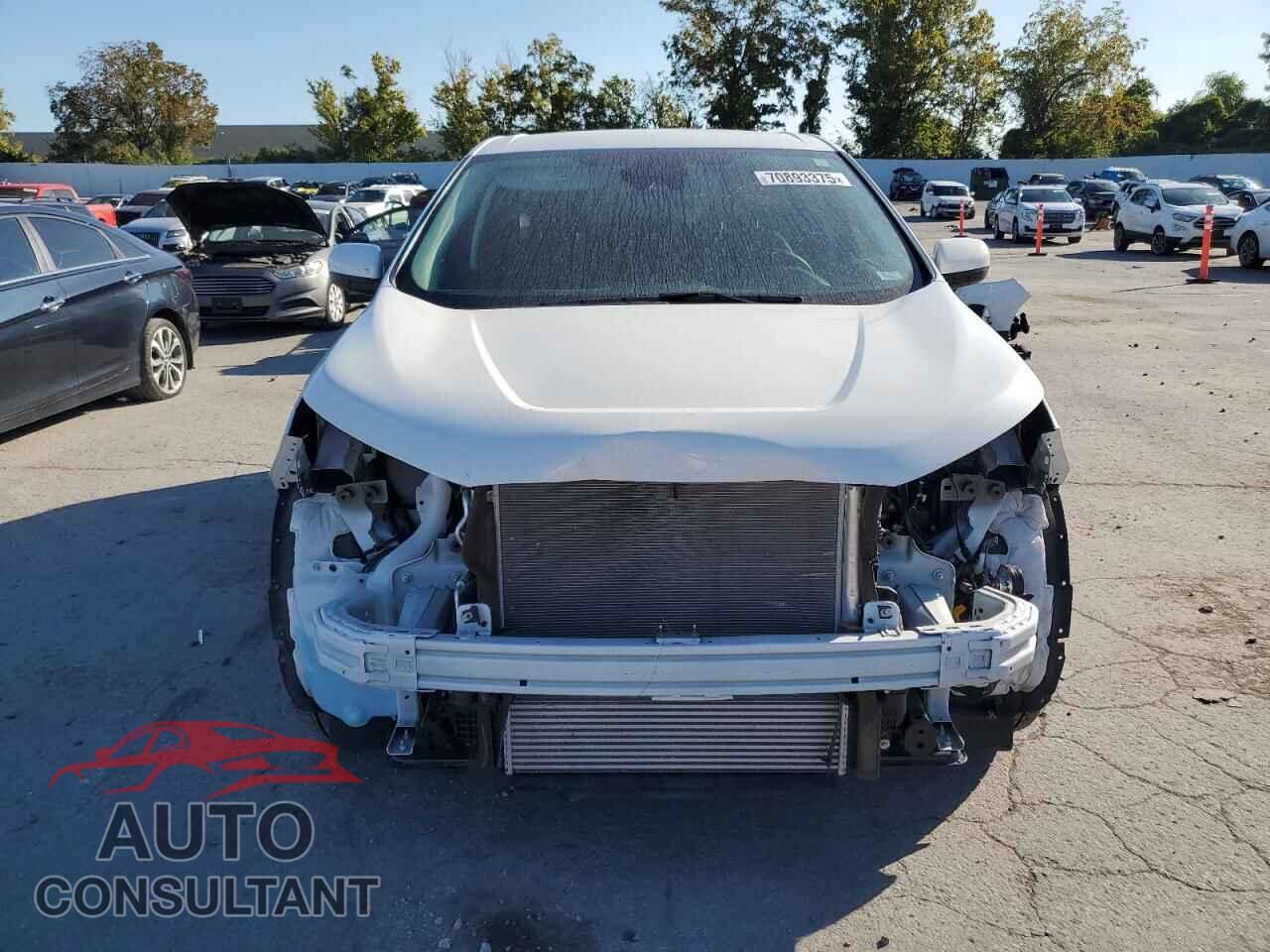 FORD EDGE 2024 - 2FMPK4J95RBB26892