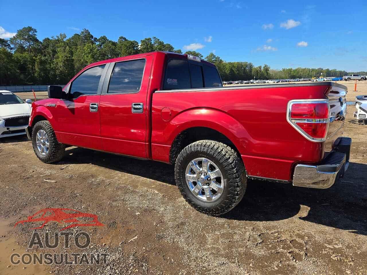 FORD F150 2013 - 1FTEW1CM2DFD63217