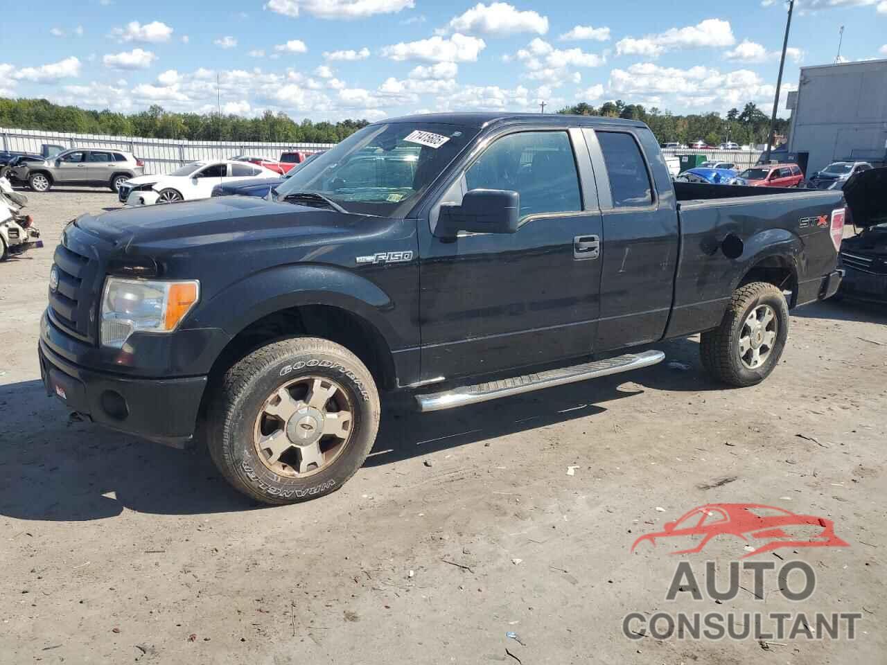 FORD F-150 2009 - 1FTRX14809FA99406