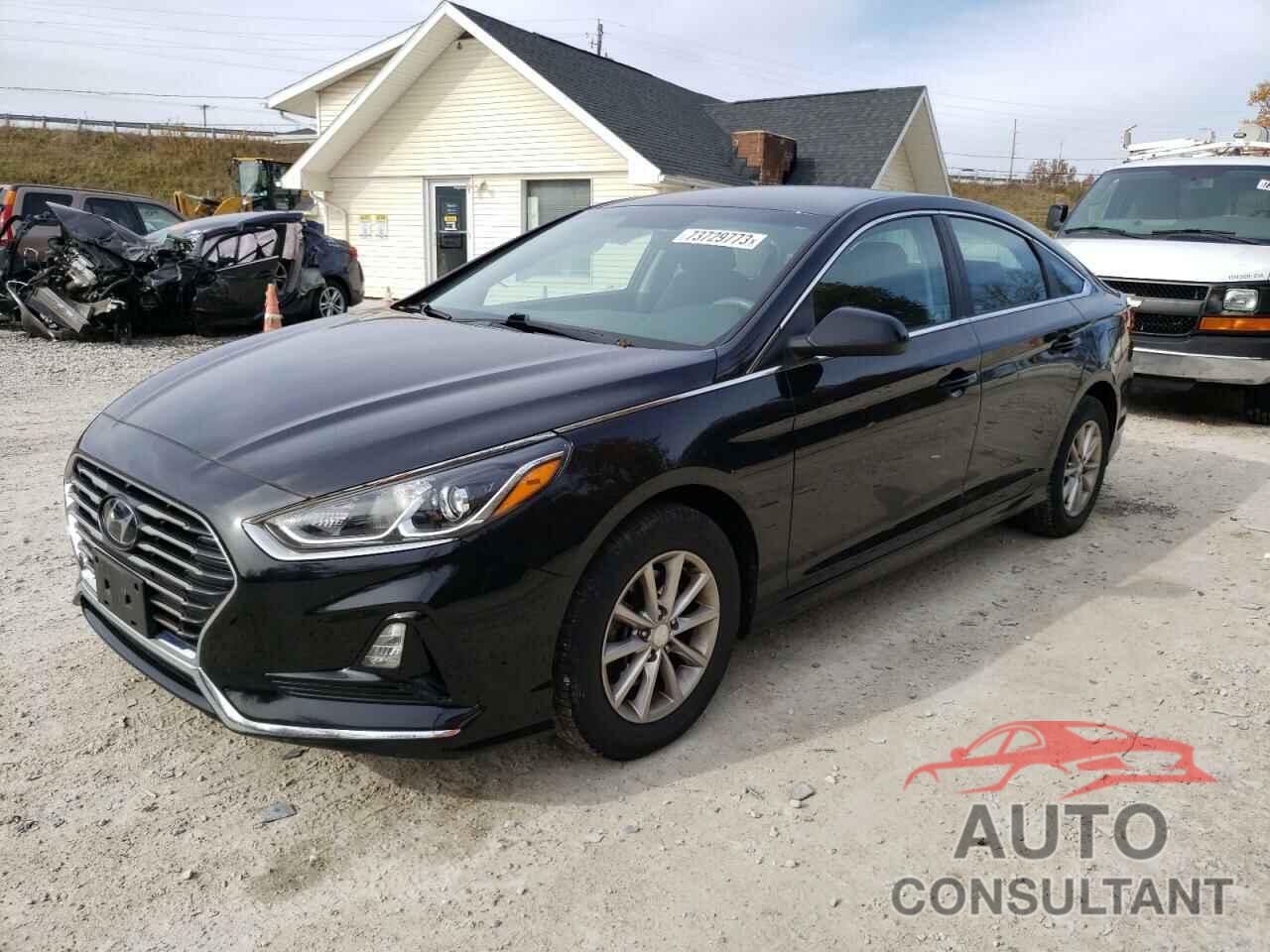 HYUNDAI SONATA 2019 - 5NPE24AF7KH773743