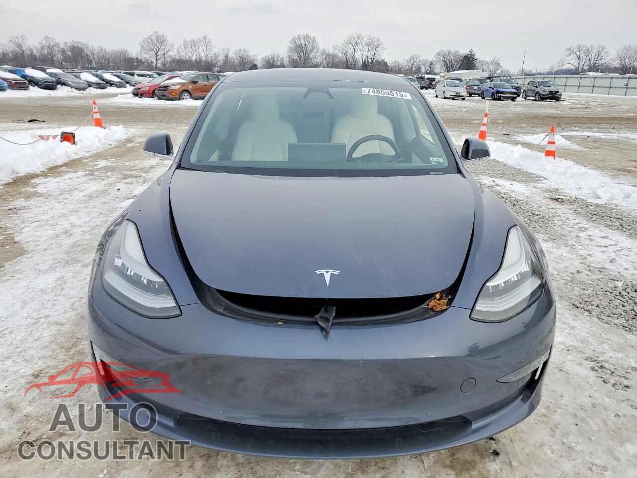 TESLA MODEL 3 2020 - 5YJ3E1EB6LF601059