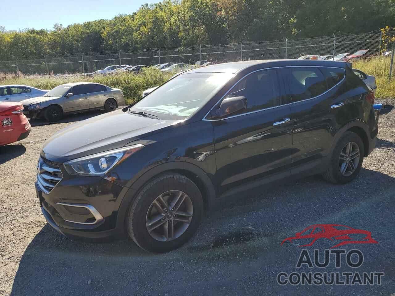 HYUNDAI SANTA FE 2017 - 5NMZTDLB6HH025225