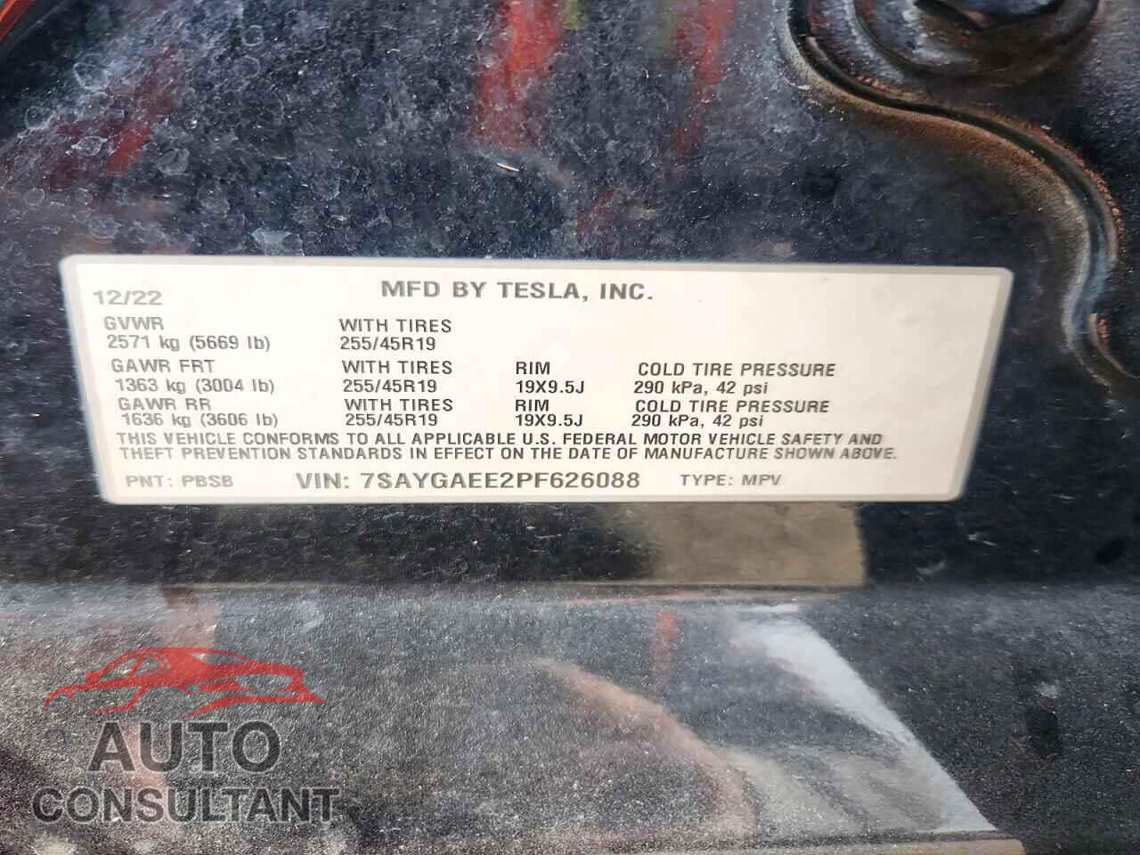 TESLA MODEL Y 2023 - 7SAYGAEE2PF626088
