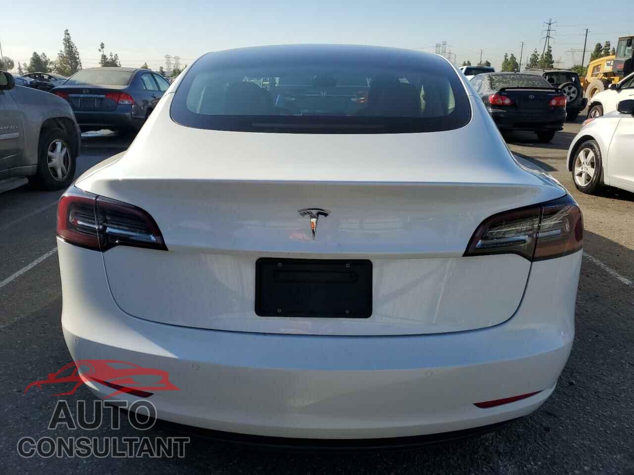 TESLA MODEL 3 2021 - 5YJ3E1EA1MF092300