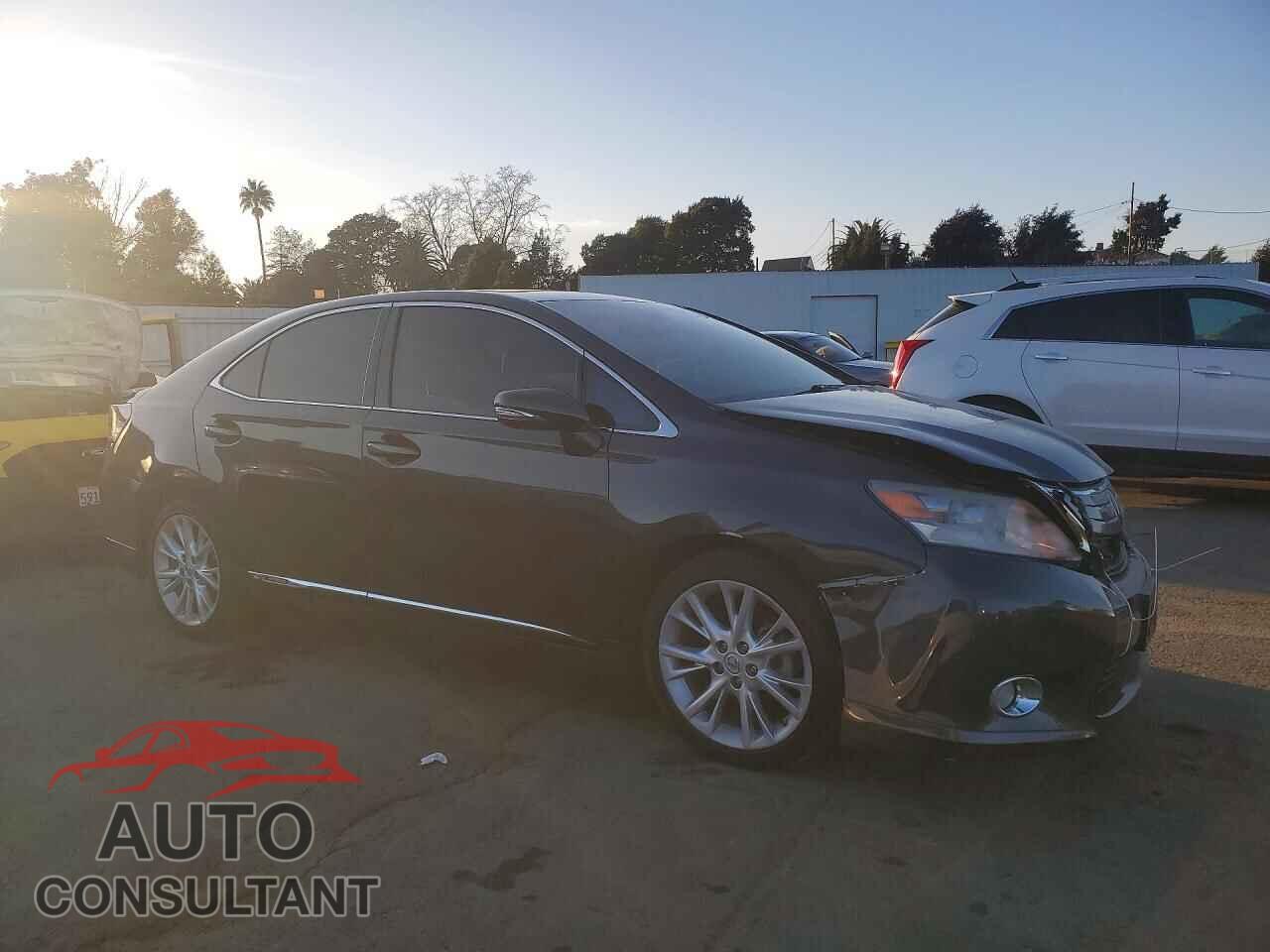 LEXUS HS 2010 - JTHBB1BA1A2019918