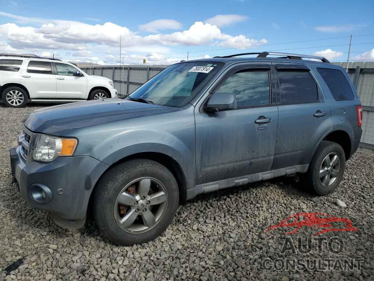 FORD ESCAPE 2011 - 1FMCU9E70BKB53430
