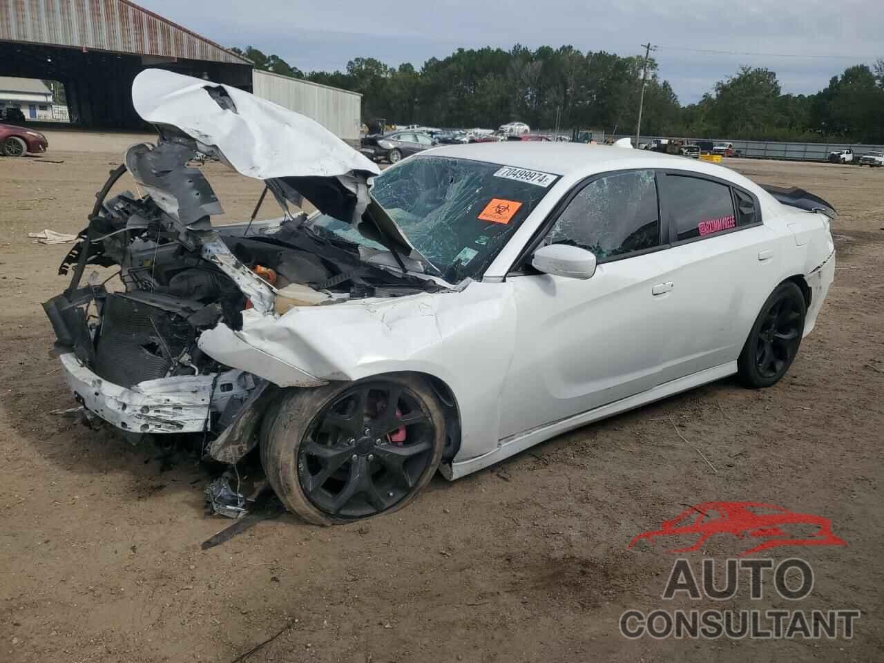 DODGE CHARGER 2019 - 2C3CDXCTXKH675745
