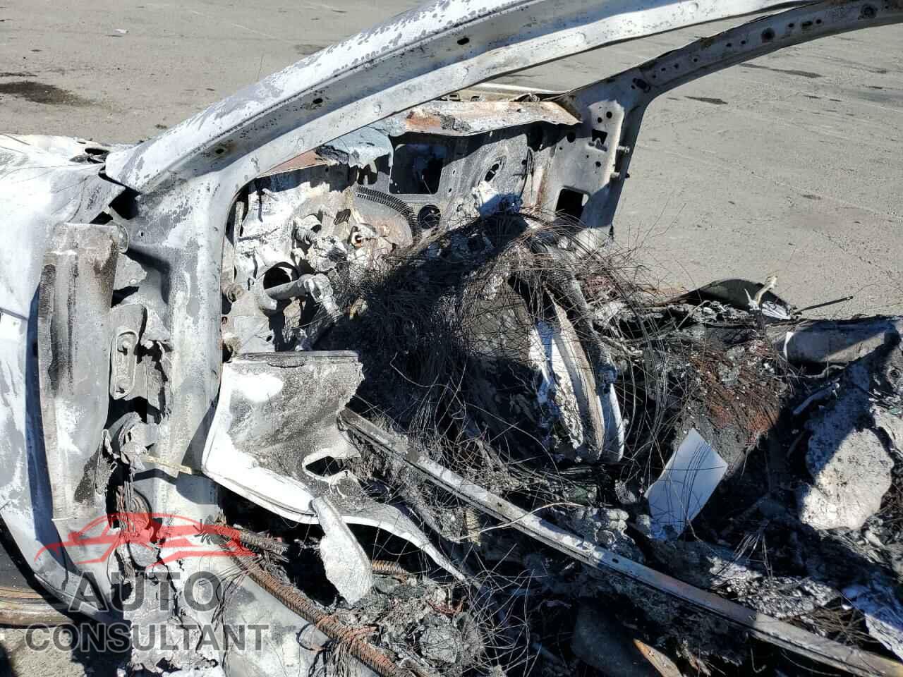 TESLA MODEL 3 2019 - 5YJ3E1EA1KF447897
