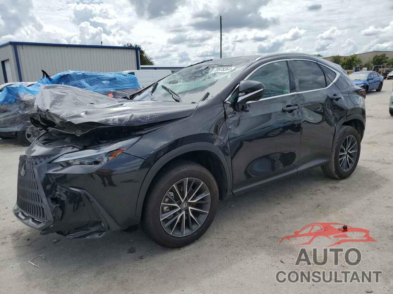 LEXUS NX 250 BAS 2024 - 2T2ADCAZ0RC008704