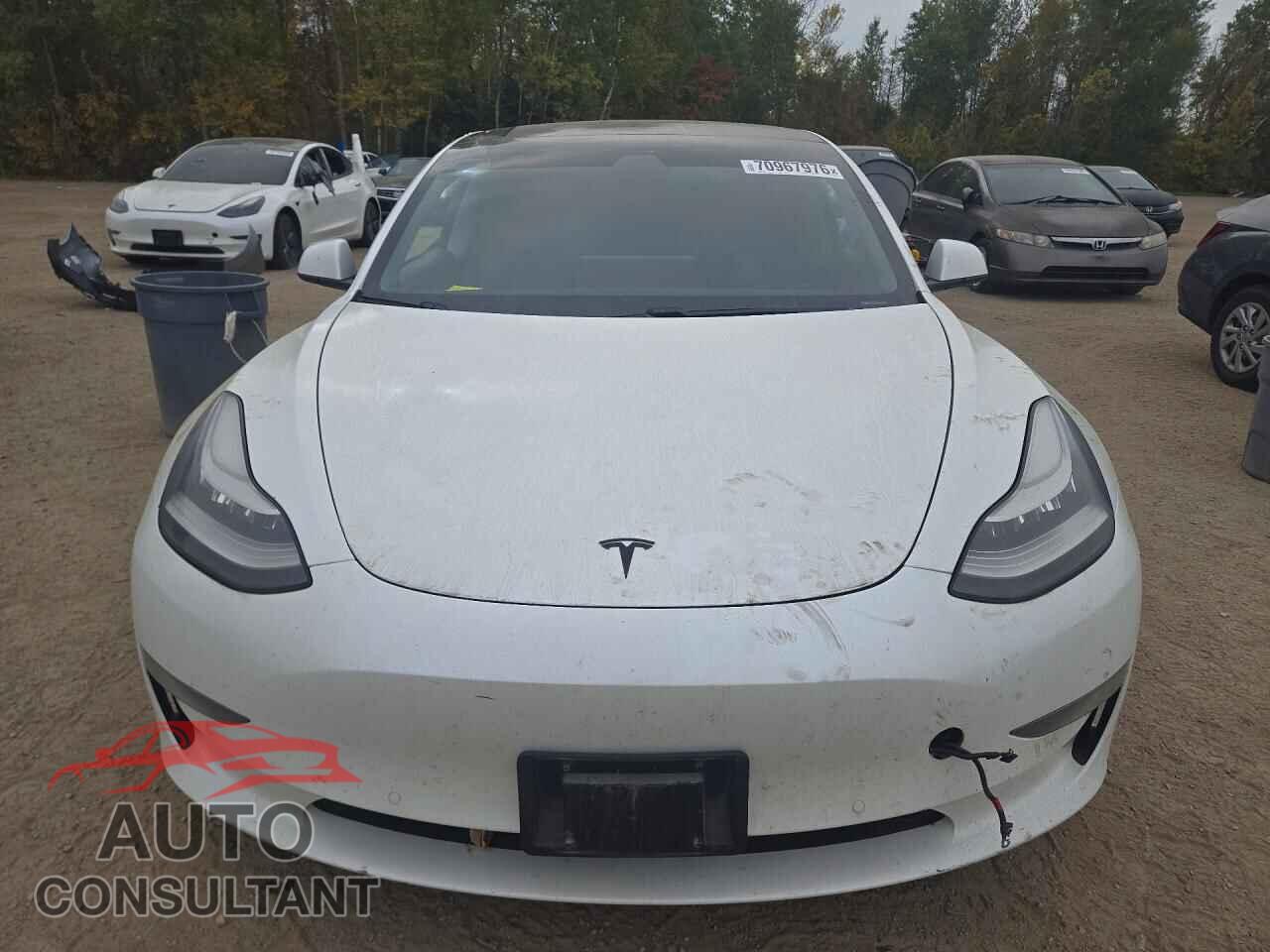 TESLA MODEL 3 2020 - 5YJ3E1EBXLF604143