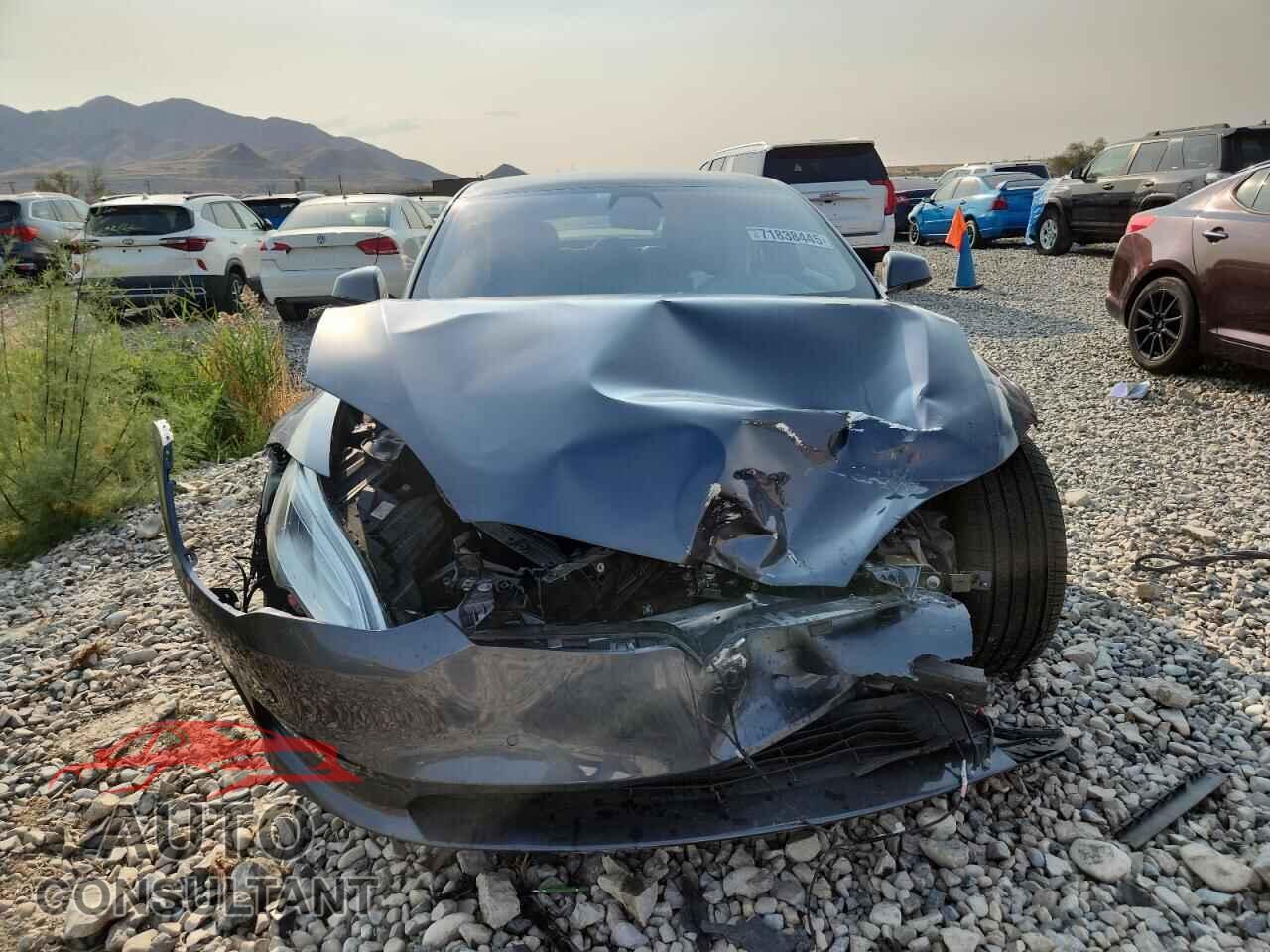 TESLA MODEL S 2021 - 5YJSA1E53MF433657