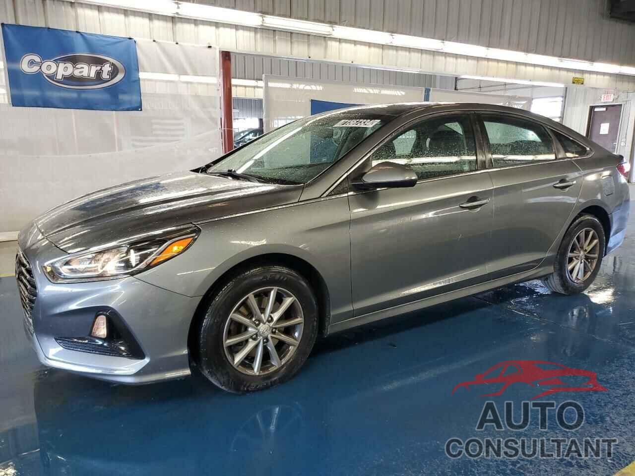 HYUNDAI SONATA 2019 - 5NPE24AF5KH740904