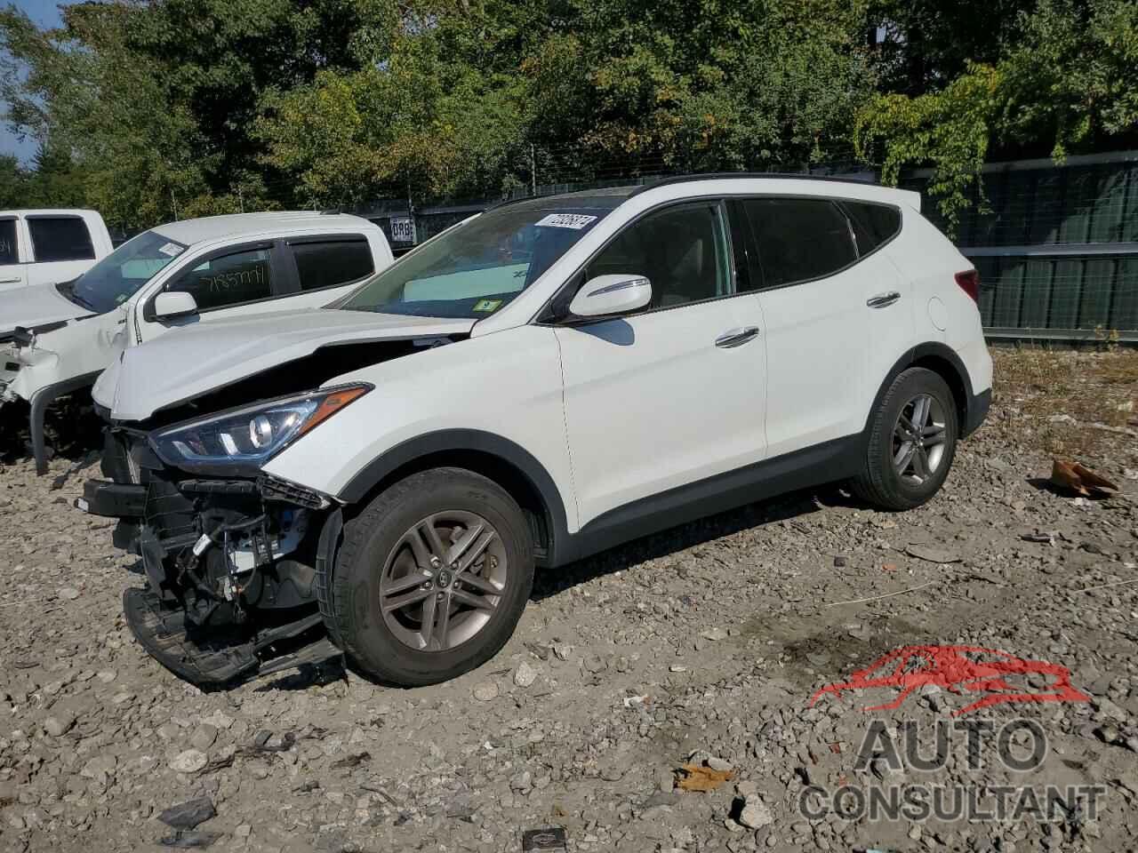 HYUNDAI SANTA FE 2017 - 5NMZUDLB6HH037890