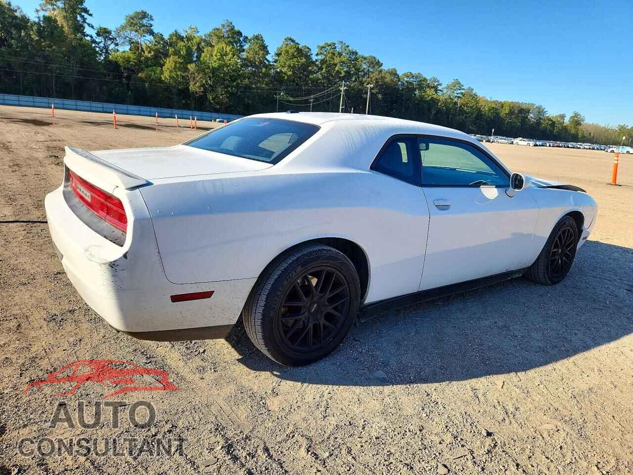 DODGE CHALLENGER 2014 - 2C3CDYBT0EH205316