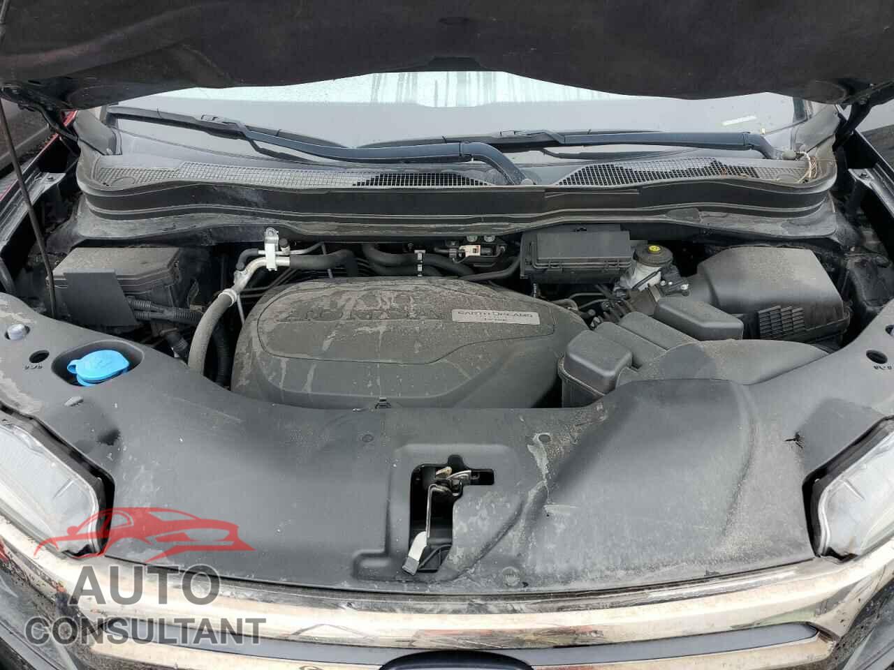 HONDA RIDGELINE 2018 - 5FPYK3F83JB008566