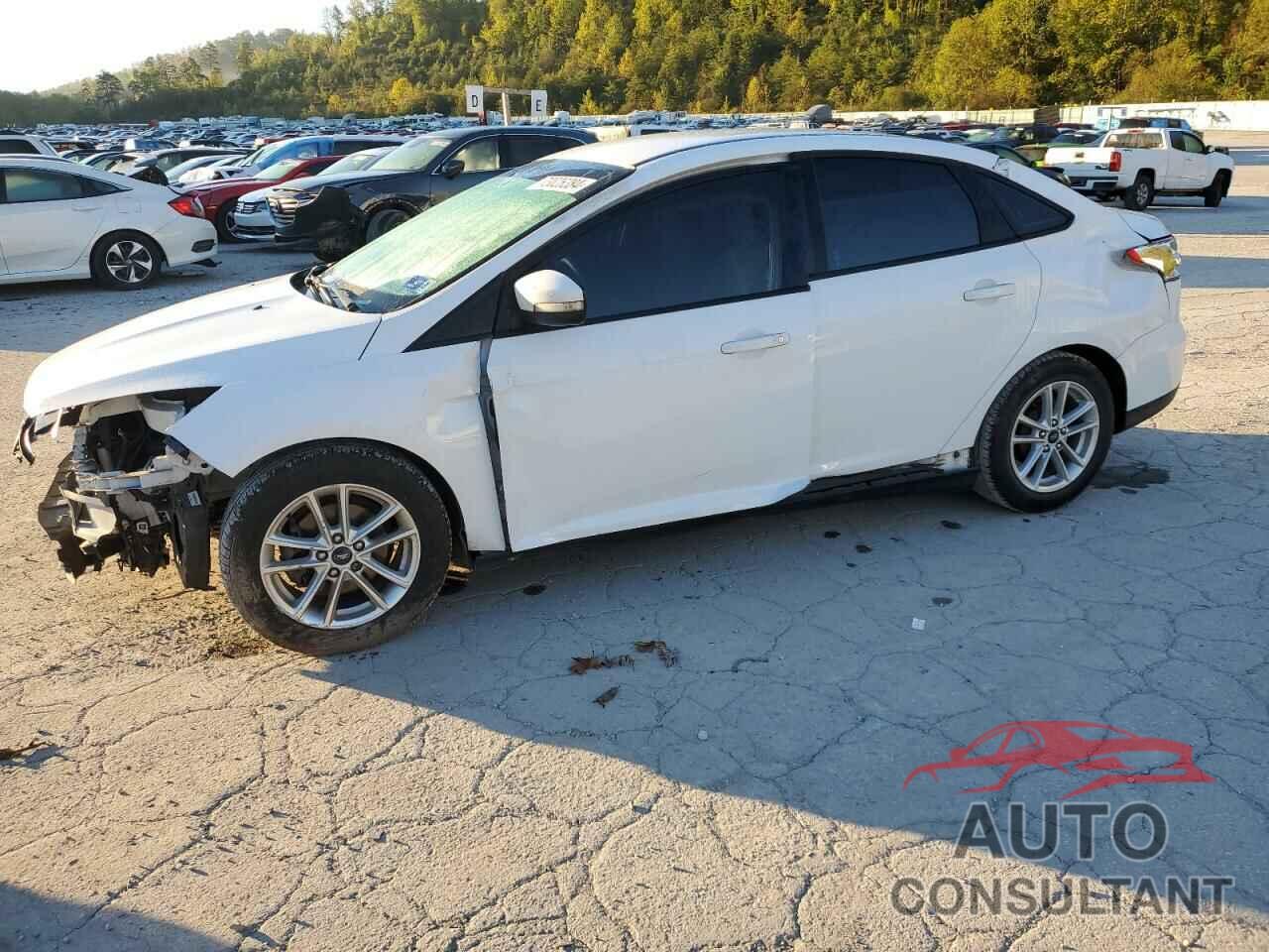 FORD FOCUS 2017 - 1FADP3F21HL322802