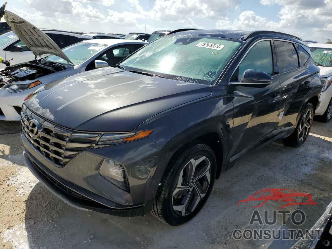 HYUNDAI TUCSON 2023 - 5NMJECAE9PH270128