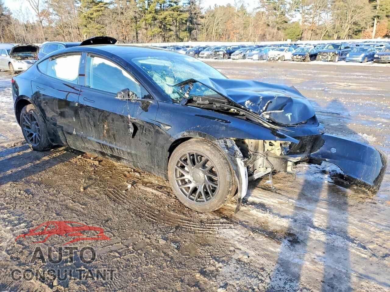 TESLA MODEL 3 2025 - 5YJ3E1EA7SF069035