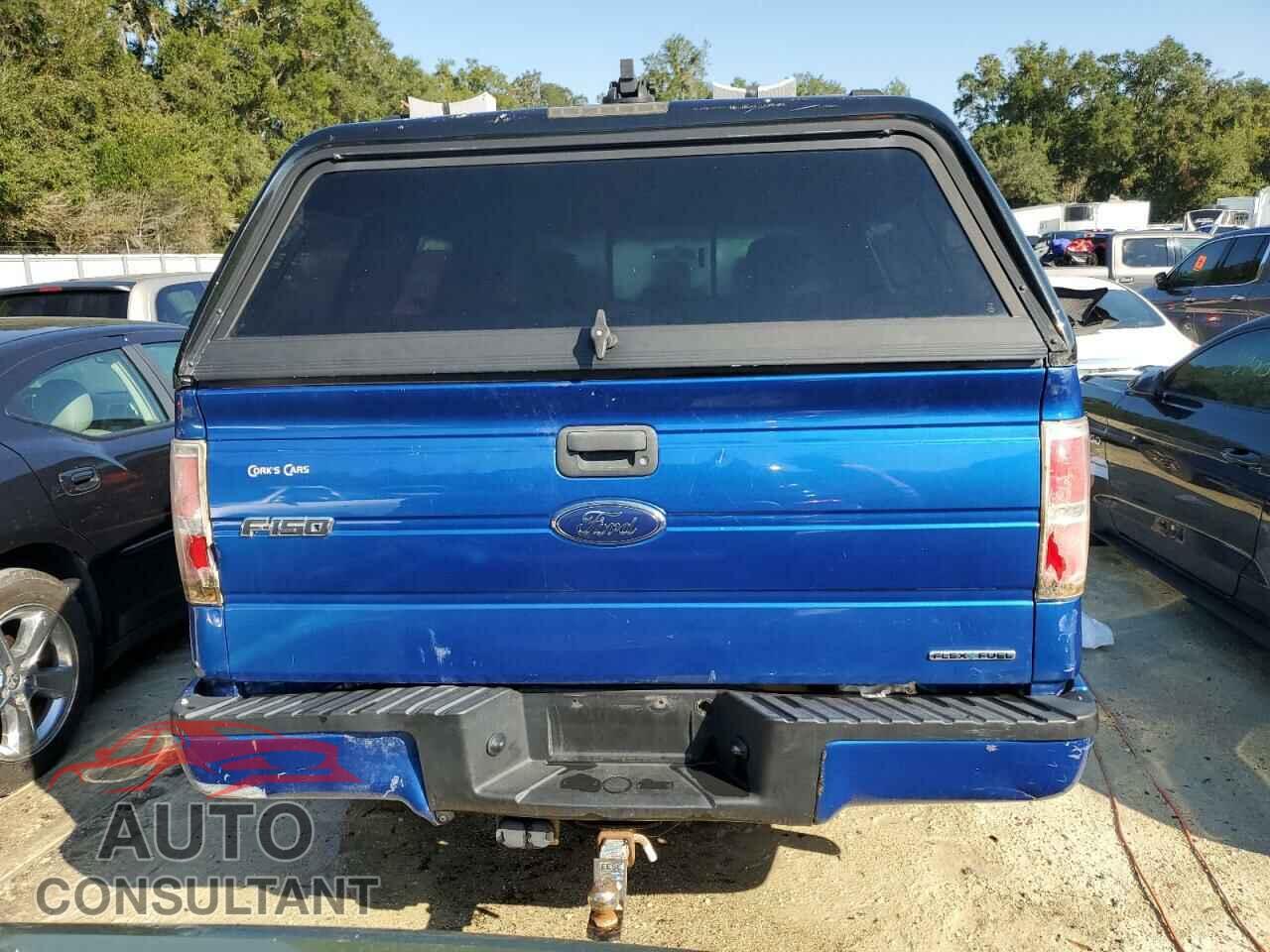 FORD F-150 2013 - 1FTFX1EF2DFD79207