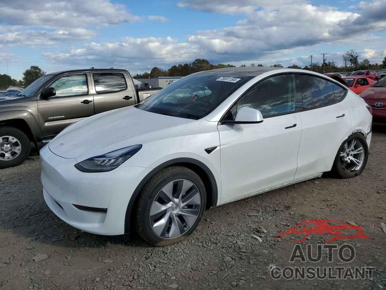 TESLA ALL OTHER 2023 - 7SAYGDEE8PA101342