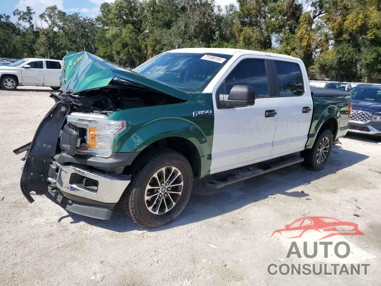 FORD F150 2020 - 1FTEW1P45LKF04930