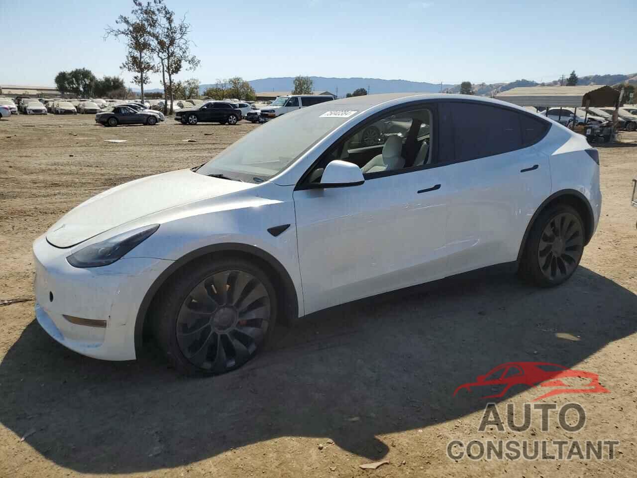 TESLA MODEL Y 2023 - 7SAYGDEF9PF830008