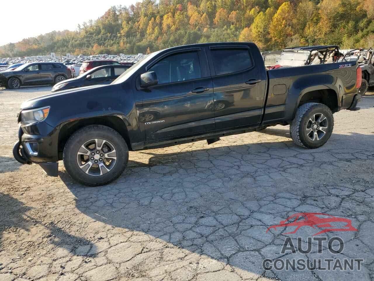 CHEVROLET COLORADO 2015 - 1GCGTCE39F1256795