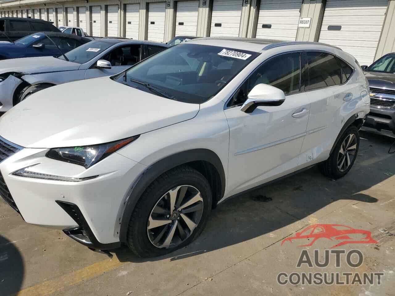 LEXUS NX 2019 - JTJBARBZ9K2203270