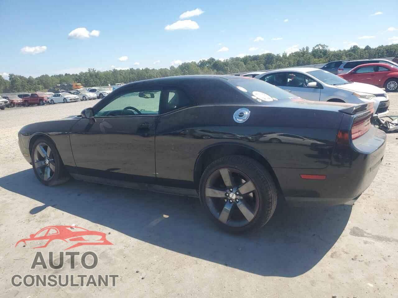 DODGE CHALLENGER 2013 - 2C3CDYAG9DH691689