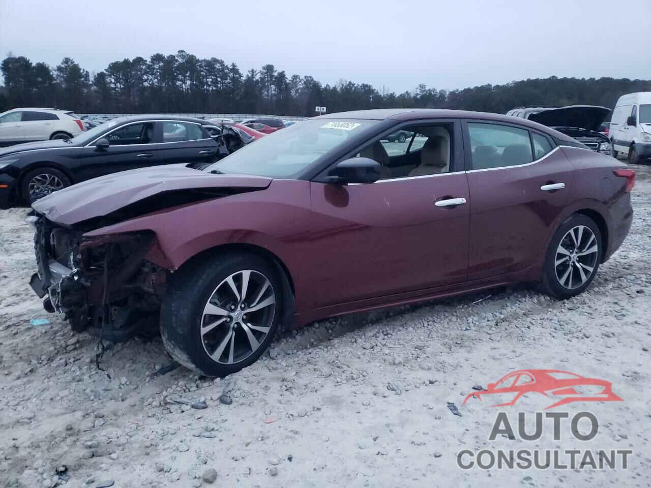 NISSAN MAXIMA 2016 - 1N4AA6AP6GC416925