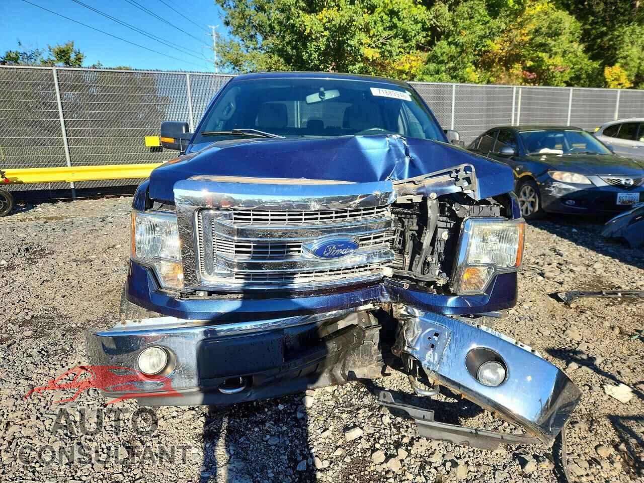 FORD F150 2013 - 1FTFW1EF1DFD29806