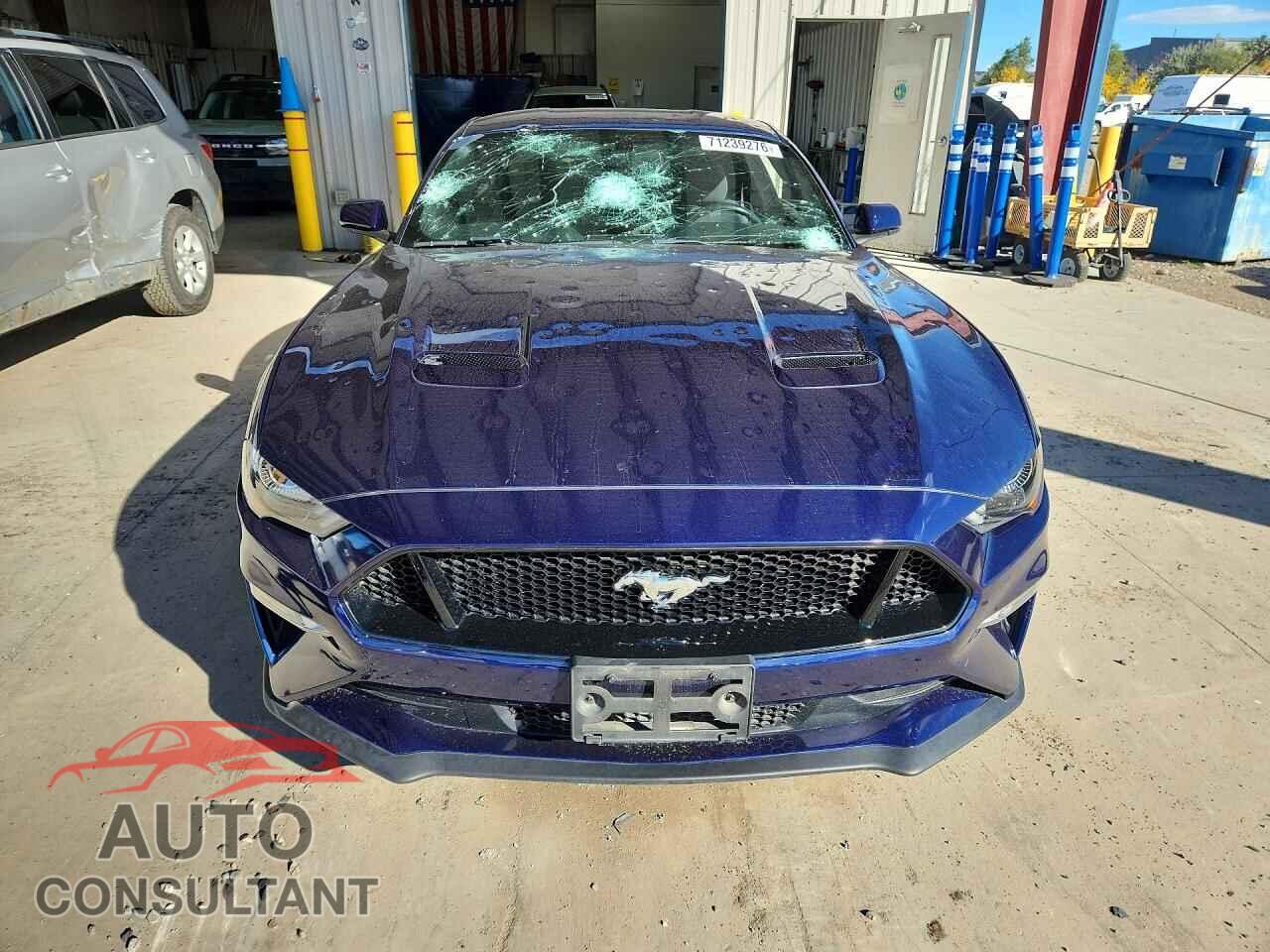 FORD MUSTANG 2019 - 1FA6P8CF7K5135637