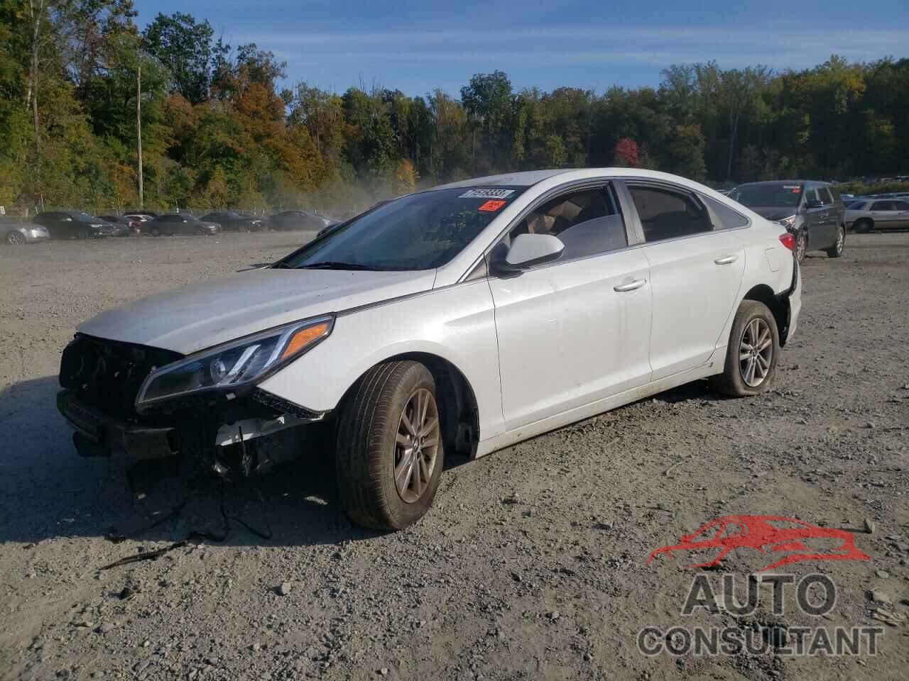 HYUNDAI SONATA 2017 - 5NPE24AF7HH491417