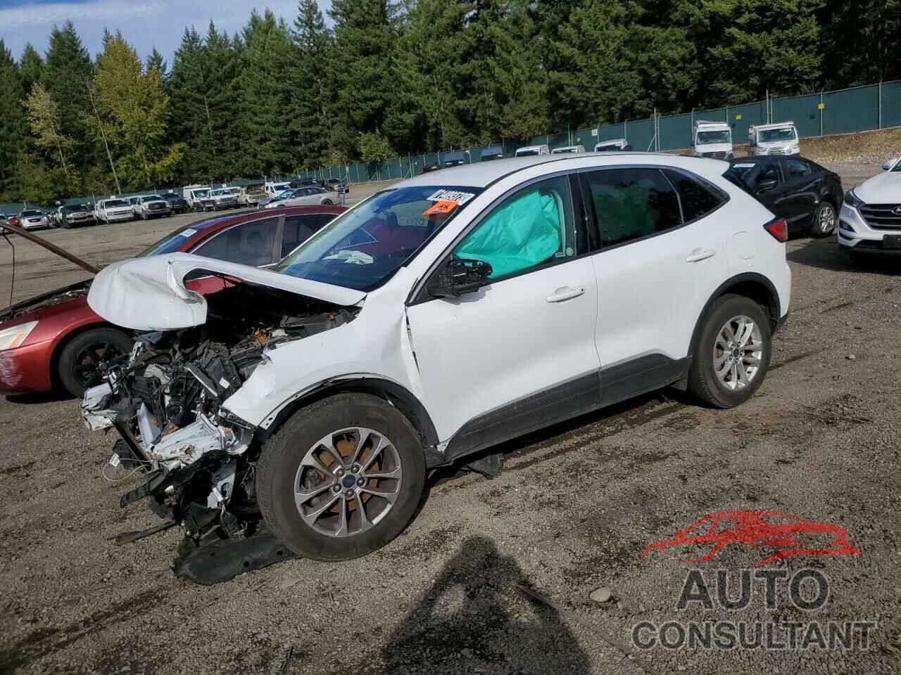 FORD ESCAPE 2022 - 1FMCU0G69NUA25390