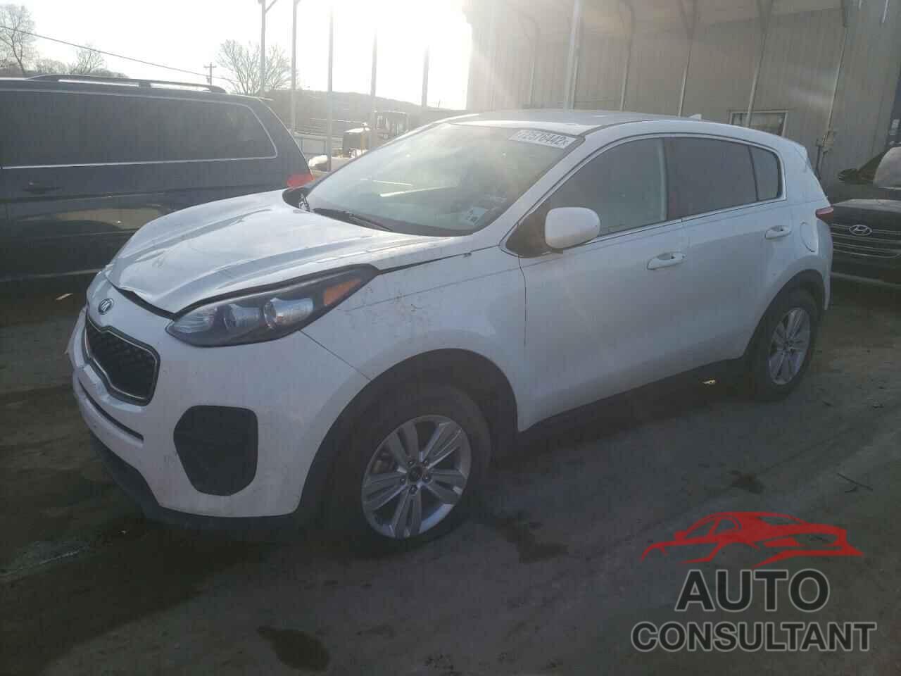 KIA SPORTAGE 2019 - KNDPM3AC1K7506881