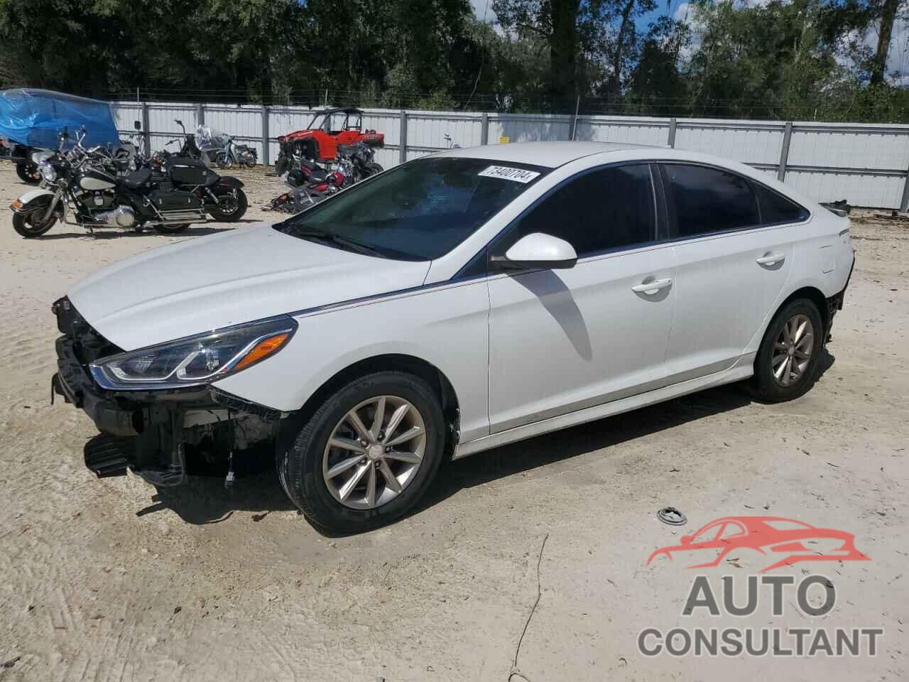 HYUNDAI SONATA 2019 - 5NPE24AF4KH741168