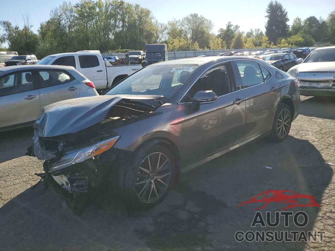 TOYOTA CAMRY 2024 - 4T1F11BK5RU122317